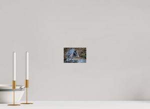 Under The Umbrella, Black Heron