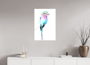 African Pastels, Lilac-Breasted Roller