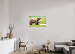 Standing Tall, Alaskan Coastal Brown Bear