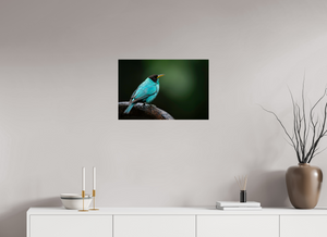 Centerpiece, Green Honeycreeper
