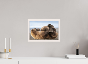 The Nursery Hour, Alaska