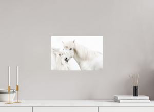 Transparency, Iceland