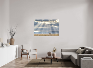 Waiting on Giants, Giraffe