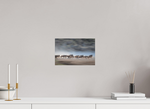 Safety in Numbers, Wildebeest