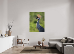Glamour, Crowned Crane