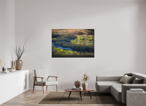 Mirror on the Marsh, Maine