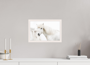 Transparency, Iceland