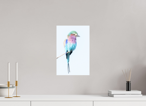 African Pastels, Lilac-Breasted Roller
