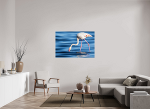 Point of Impact, Greater Flamingo