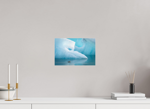 Frozen Eider, Iceland