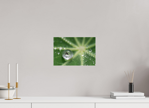 Jurassic Park, Maine