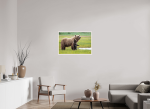 Standing Tall, Alaskan Coastal Brown Bear