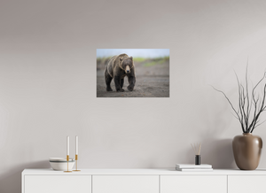 Intimidation, Alaskan Coastal Brown Bear