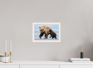 Playful Invitation, Alaskan Coastal Brown Bear