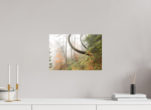 Imaginarium Opus, Slovenia