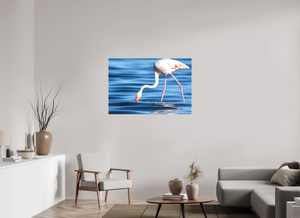 Point of Impact, Greater Flamingo