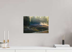 Ethereal Forest, Montenegro