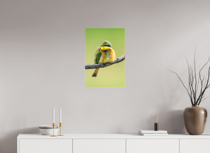 Avian Acrobat, Little Bee Eater