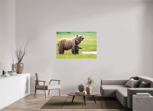 Standing Tall, Alaskan Coastal Brown Bear
