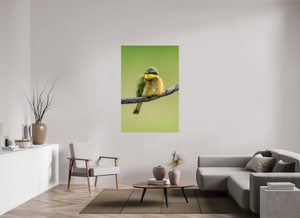 Avian Acrobat, Little Bee Eater