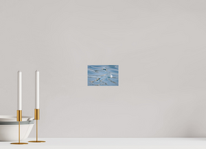 Curled Reflections, Iceland