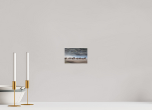 Safety in Numbers, Wildebeest