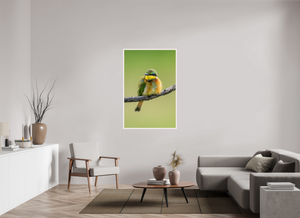 Avian Acrobat, Little Bee Eater