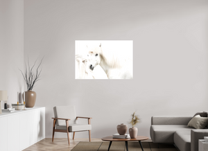 Transparency, Iceland