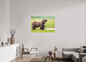 Standing Tall, Alaskan Coastal Brown Bear