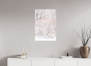 Torches of Winter, Maine