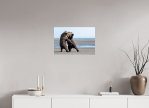 Sibling Rivalry, Alaskan Coastal Brown Bear Cubs