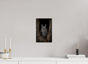 Observation, Pacific Screech Owl