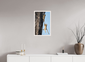 King of the Swingers, Baboon