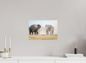 War and Peace, Elephant