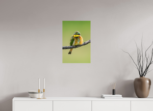 Avian Acrobat, Little Bee Eater