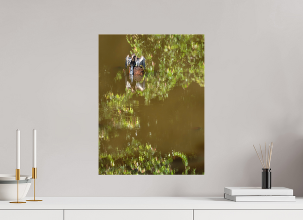 Watercolors, Anhinga