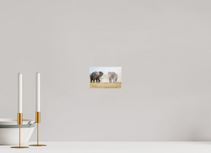 War and Peace, Elephant