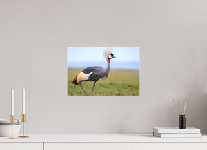 Strictly Formal, Crowned Crane