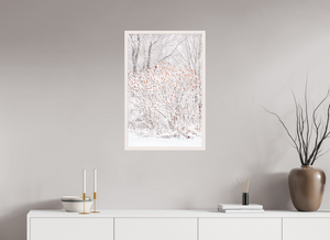 Torches of Winter, Maine