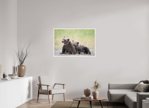 Observation, Alaskan Brown Bear Cubs