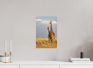 Head in the Clouds, Giraffe