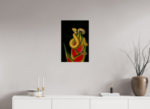 Fatal Attraction Fatal Attraction, Yellow Eyelash Viper