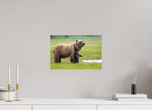 Standing Tall, Alaskan Coastal Brown Bear