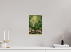 Autumn Confetti, Maine