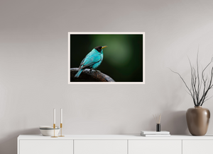 Centerpiece, Green Honeycreeper