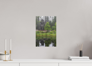 Eyes in the Forest, Maine