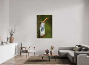 Pinocchio, Lanternfly