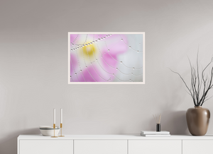 Spider's Treasure, Maine