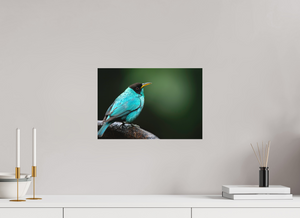 Centerpiece, Green Honeycreeper