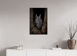 Observation, Pacific Screech Owl